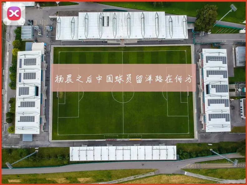 杨晨之后中国球员留洋路在何方
